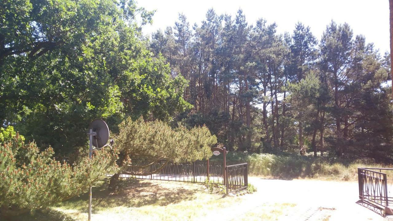 Ferienhaeuschen Villa Born Exterior photo