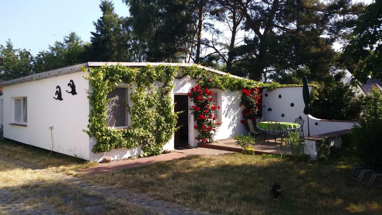 Ferienhaeuschen Villa Born Exterior photo